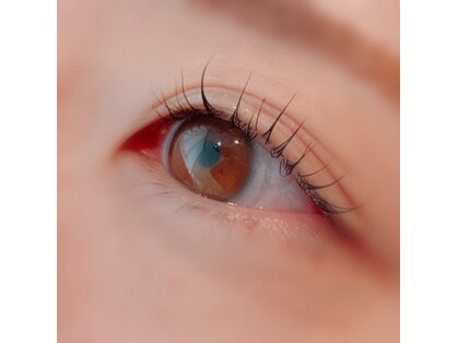 ラタ(raTa)の写真