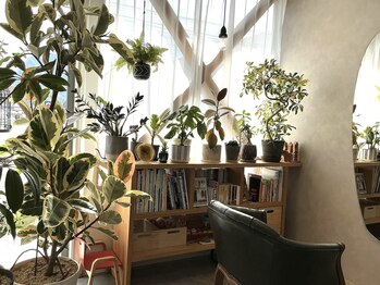 イトハヘアー(itoha hair)の写真/観葉植物で癒しの空間を演出したサロン！緑に囲まれて心からリラックスできる場所