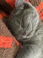 アンドリルム 梅田(&Lillme)&nbsp;ネコ好きです。動物全般好きです。