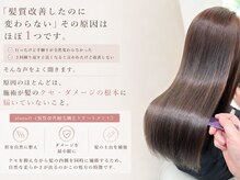 alana髪質改善ブランドが選ばれ続ける理由。【髪質改善カラー&縮毛矯正】髪が変わる仕組みをご説明します