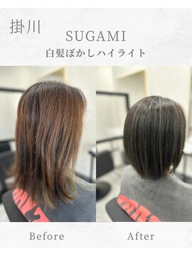 スガミ(SUGAMI) 白髪ぼかしハイライト/脱白髪染め