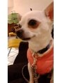 ネオリーブニコ 大井町店(Neolive Nico) ワンちゃん大好きです。海外でドックシッターもしてました。笑