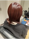 白髪染め使わない白髪染め～カシス