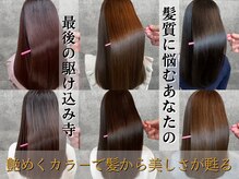 レディオ ザ イシン(LeDio the ISIN)