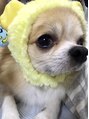 ティピ(tipi) 大好きなチロ君☆愛しすぎます(о´∀`о)