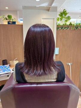 エル バイ ファースト(L by first) 【L by first】イルミナ新色【ラベンダー】