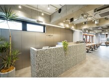 ケアリー 練馬(Carelly)の雰囲気（練馬/髪質改善/イルミナカラー/インナーカラー/ハイライト/酸熱）