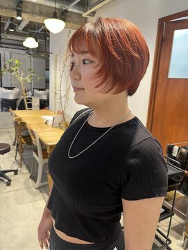 ダンボ(DUMBO) orange led color