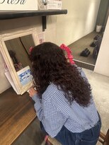 ニテンス(nitens)&nbsp;ボルドーカラー