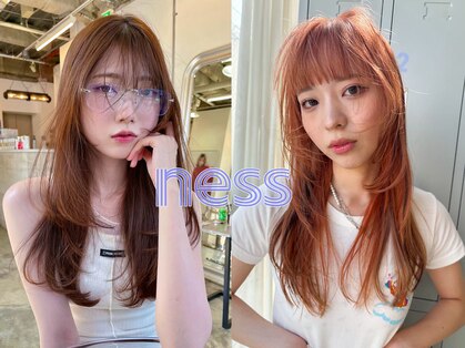 ネス(ness)の写真