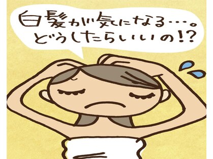 ブラウン ブラウンの写真