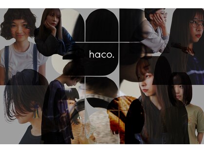 ハコ(haco.)の写真
