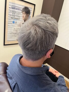 ルシードスタイルバレッタ フォーメン(LUCIDO STYLE BARRETTA for men) メンズシルバーカラー