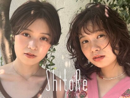 シトリ(ShitoRe)の写真