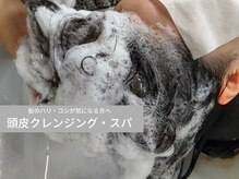 モント レゾン(Monter raison)