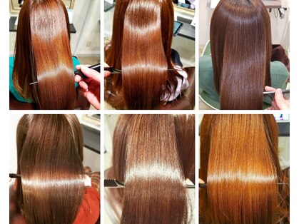カグヤヒメ(kaguyahime)の写真