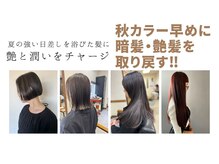 ロッティ(lotti)