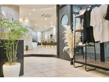 オリノ(olino)の写真