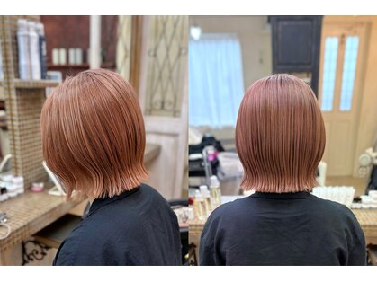 テガミ(tegami)の写真
