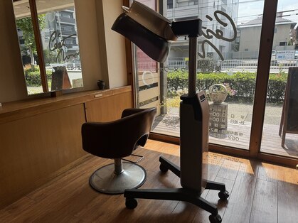 セドゥヌーヴォ(C'est du Nouveau)の写真