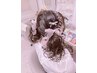 ライブ☆コンサート用ヘアセット10時以降￥2800 リボン等の飾りは別料金