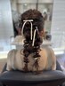 【大塚担当】お呼ばれヘアアレンジ　￥5500