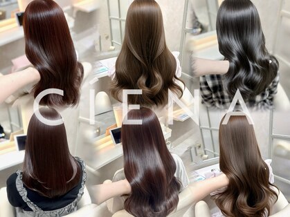 シエナ(CIENA)の写真