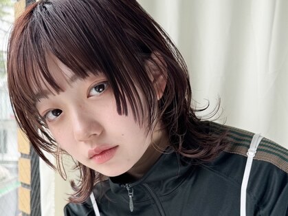 ノラジャーニー(NORA Journey)の写真