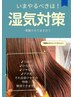 毛髪補修ストレート¥23100~→¥22000~
