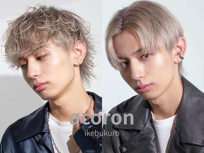アコロン(acoron.)の写真