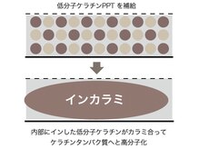 髪の主成分『ケラチンタンパク質』を「イン（IN)」して「カラミ(絡み）」する特許技術取得！