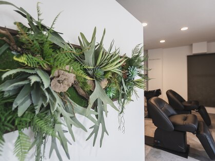 リルノーティス(Lil notice)の写真