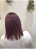 【COLOR】ビビットパープル