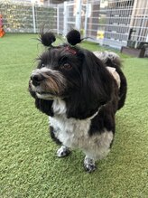 フィグルヘアーデザイン(figle hair design)&nbsp;エルマー 