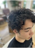 men's/poodle perm