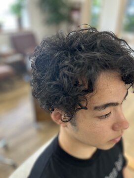 ロビンソン(Robinson) men's/poodle perm