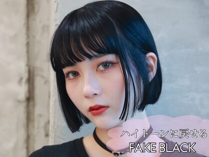 プネル(punel)の写真