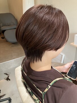 本と南風 guest design