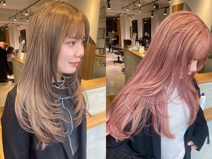 アカラ アネックス(acala annex)の写真