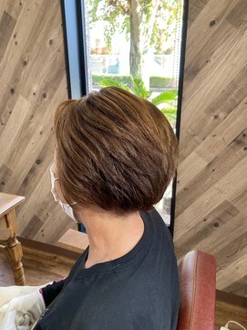 ルネッサンスヘアー ラファエロ(RAFFAELLO) 艶々グレーカラー