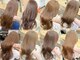 ミリ(mm)の写真
