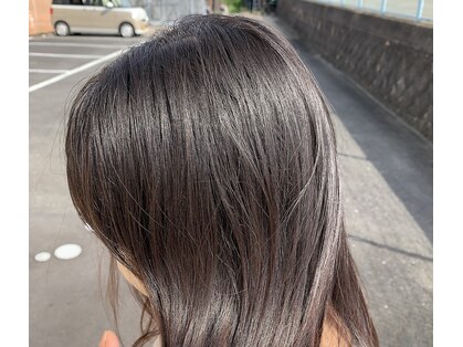 パンプキン(PUMPKIN)の写真