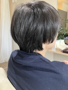 本と南風 guest design