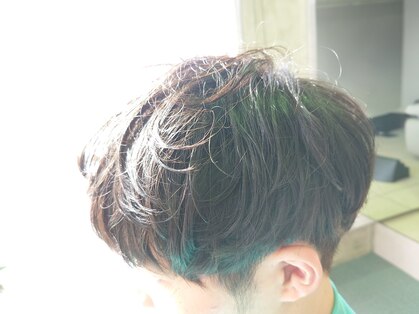 ブルーム(bloom)の写真