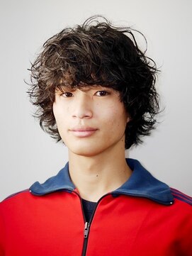 サル 代官山(SAL) 【SAL】medium wolf