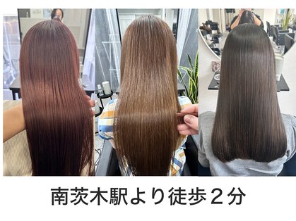 クローブ(CLOVE)の写真