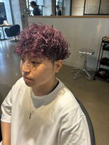 ホル(HOL) *カシスカラー*