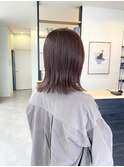 ロブ