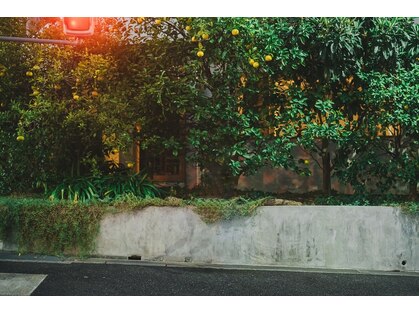 レプル(rEpLE)の写真