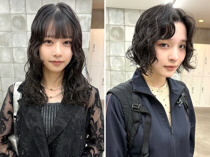 トゥコ(tuco)の写真